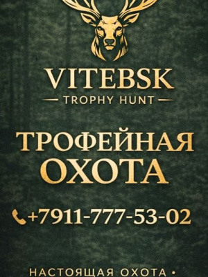 Охота